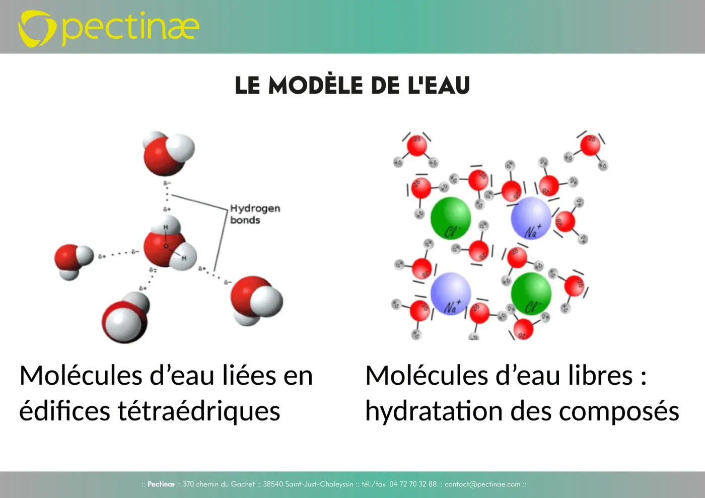 Le modèle de l