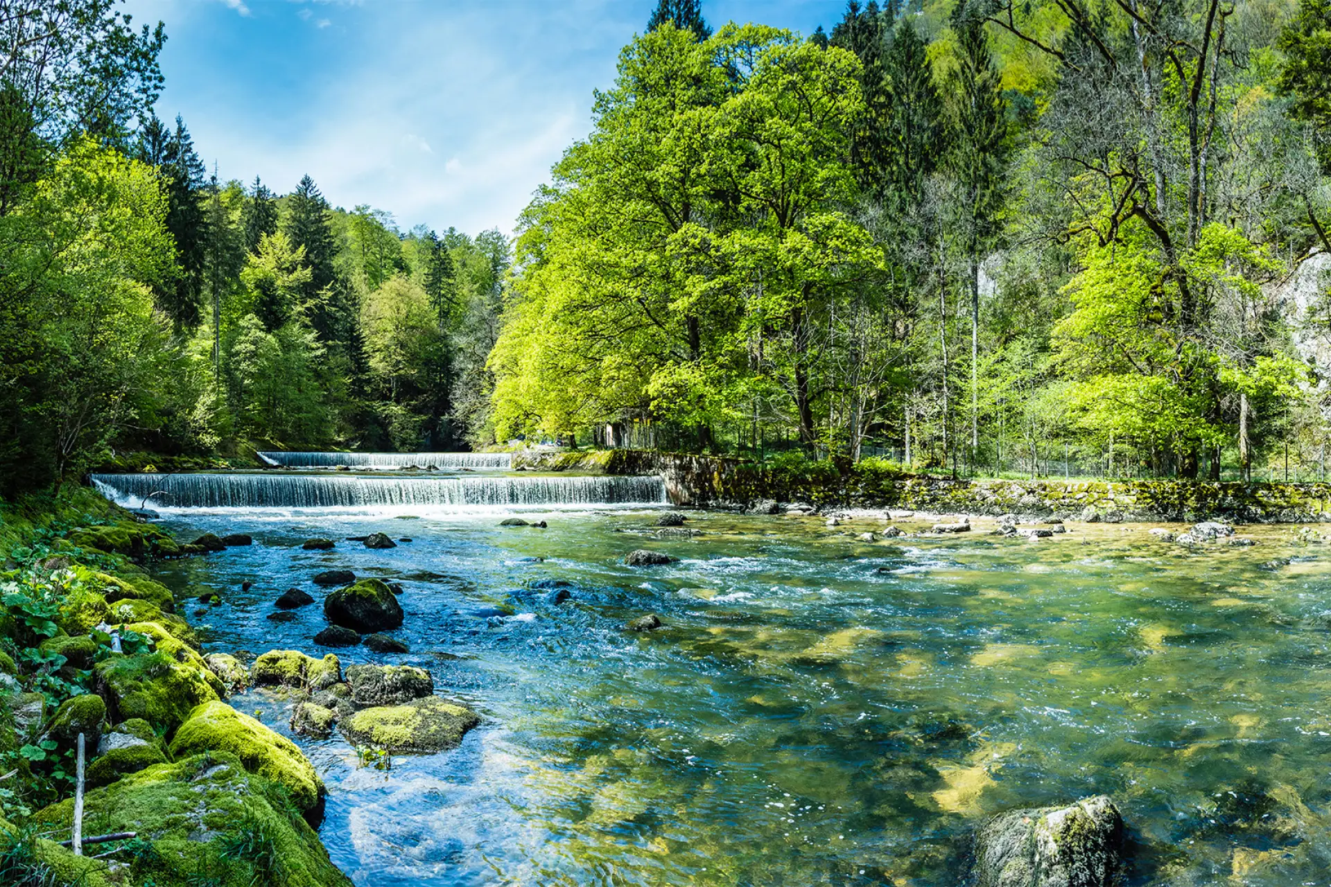 Eau pure en milieu naturel