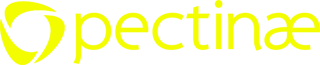 Pectinae